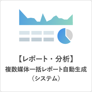 レポート・分析